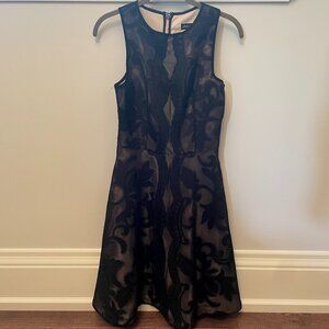 NWT Sleeveless Lace Fit & Flare Dress